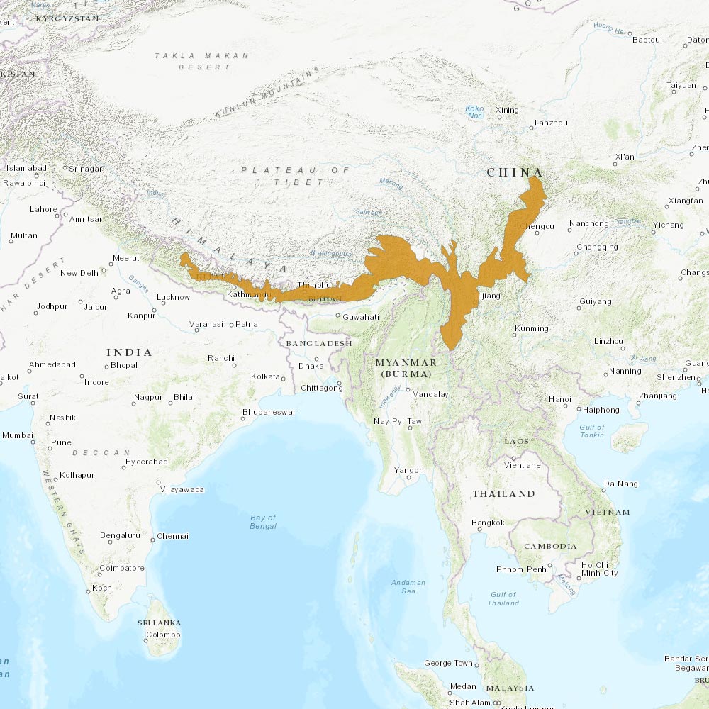 Répartition géographique des pandas roux - IUCN Red List