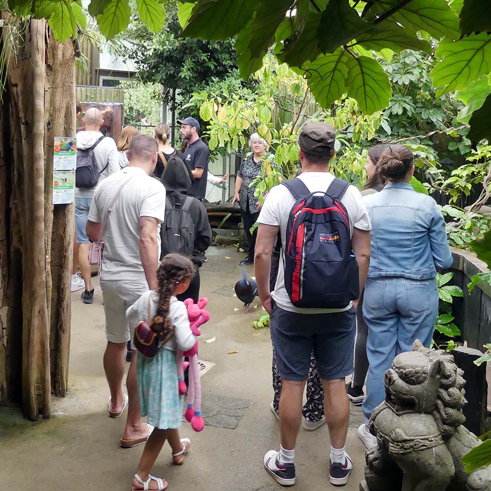 expérience au zoo d'Asson : visites VIP