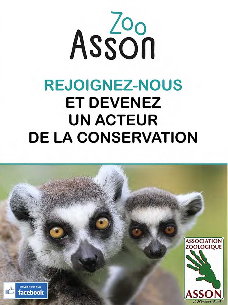 bulletin de parrainage de l'association zoologique d’Asson