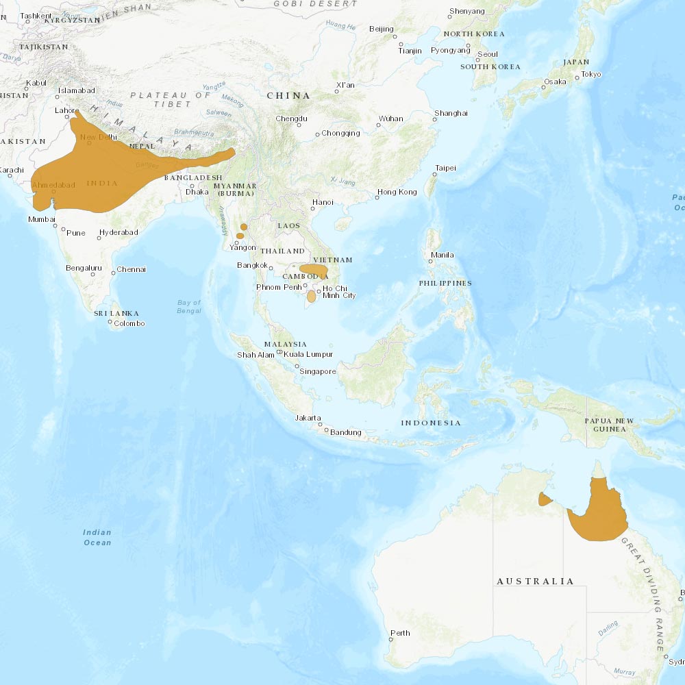 Répartition géographique des grues antigones / IUCN Red List