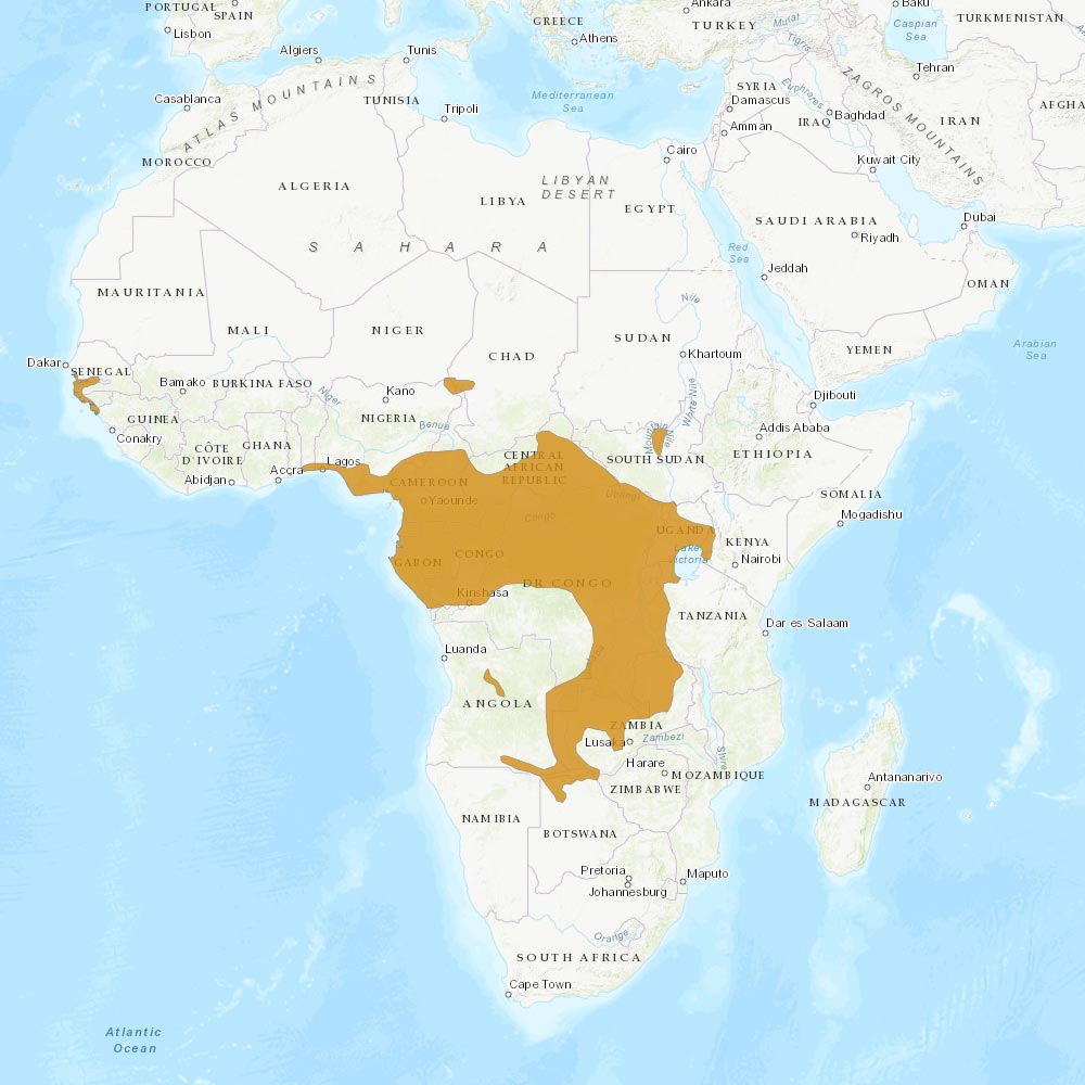 Répartition géographique des guibs d'eau / IUCN Red List