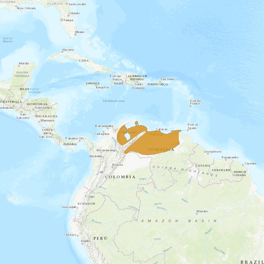 Répartition géographique des hoccos de Daubenton / IUCN Red List