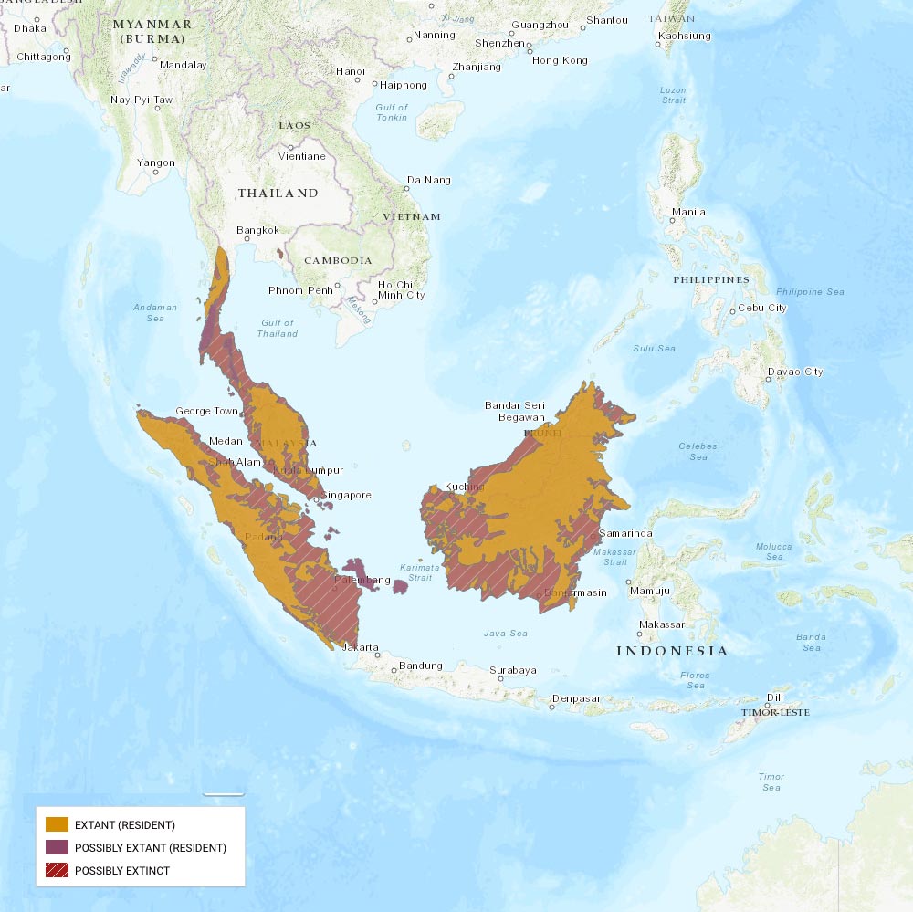 Répartition géographique des roulrouls couronnés / IUCN Red List