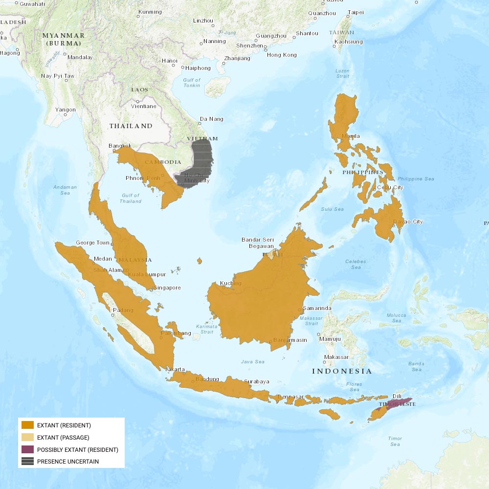 Répartition géographique des roussettes de Malaisie / IUCN Red List