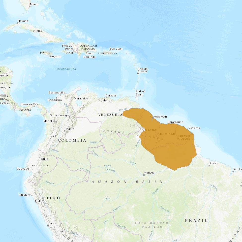 Répartition géographique des sakis à face blanche / IUCN Red List