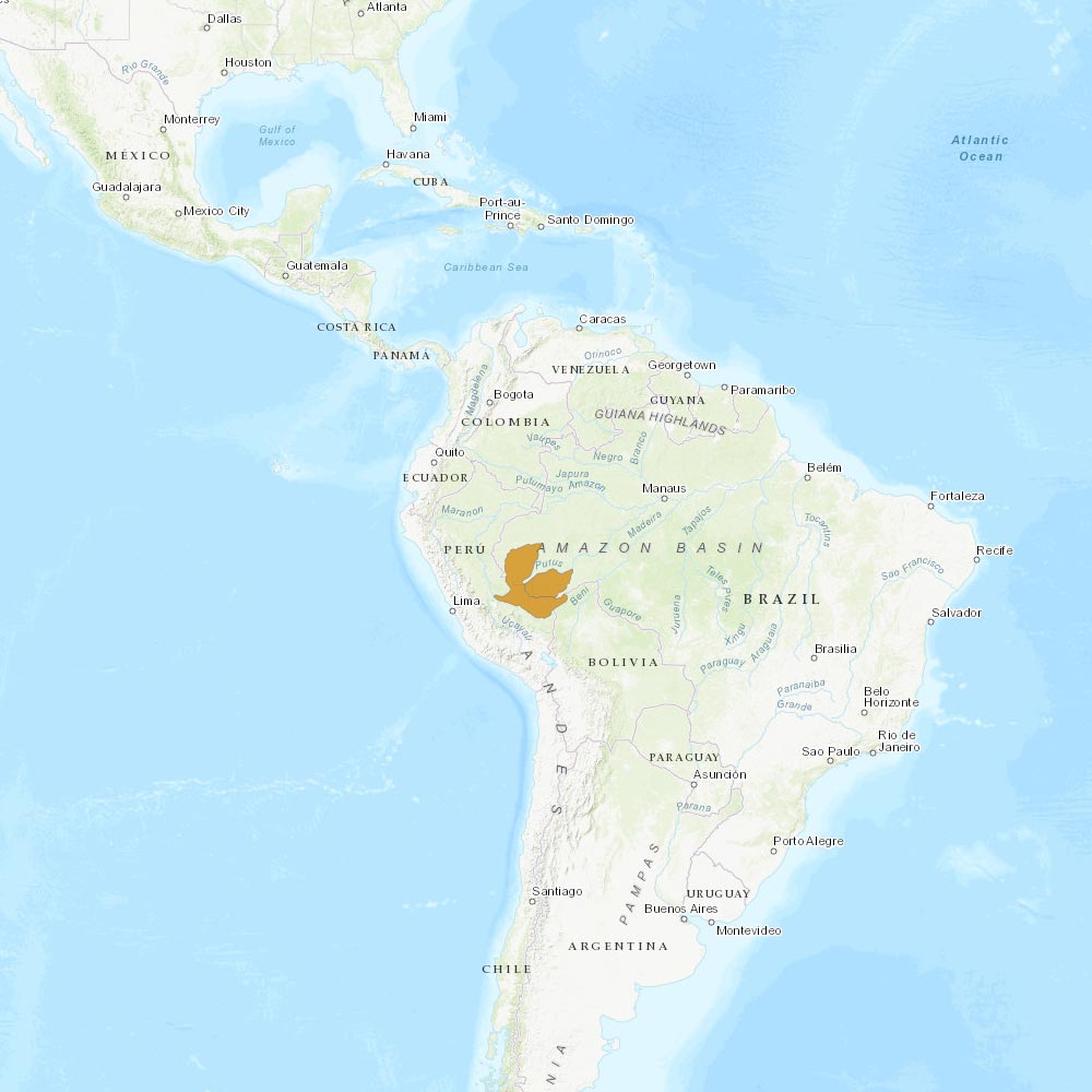 Répartition géographique des tamarins empereurs / IUCN Red List
