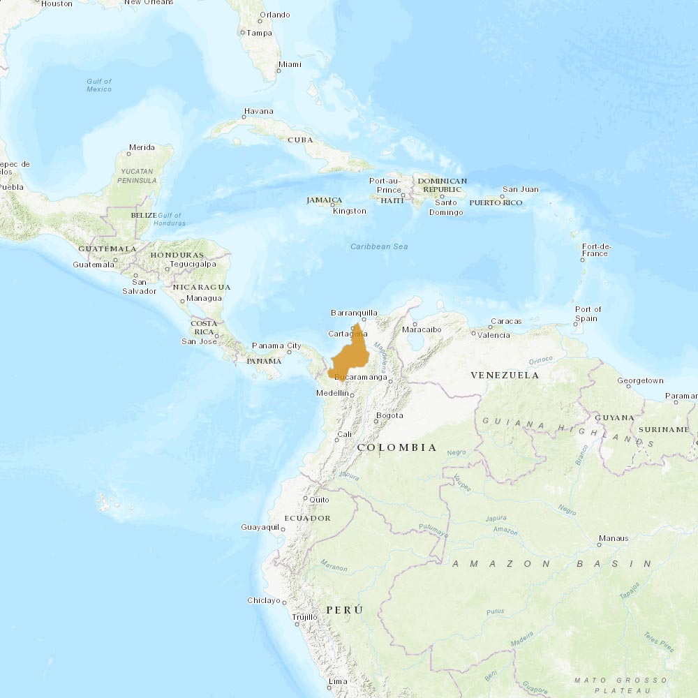 Répartition géographique des tamarins pinchés / IUCN Red List