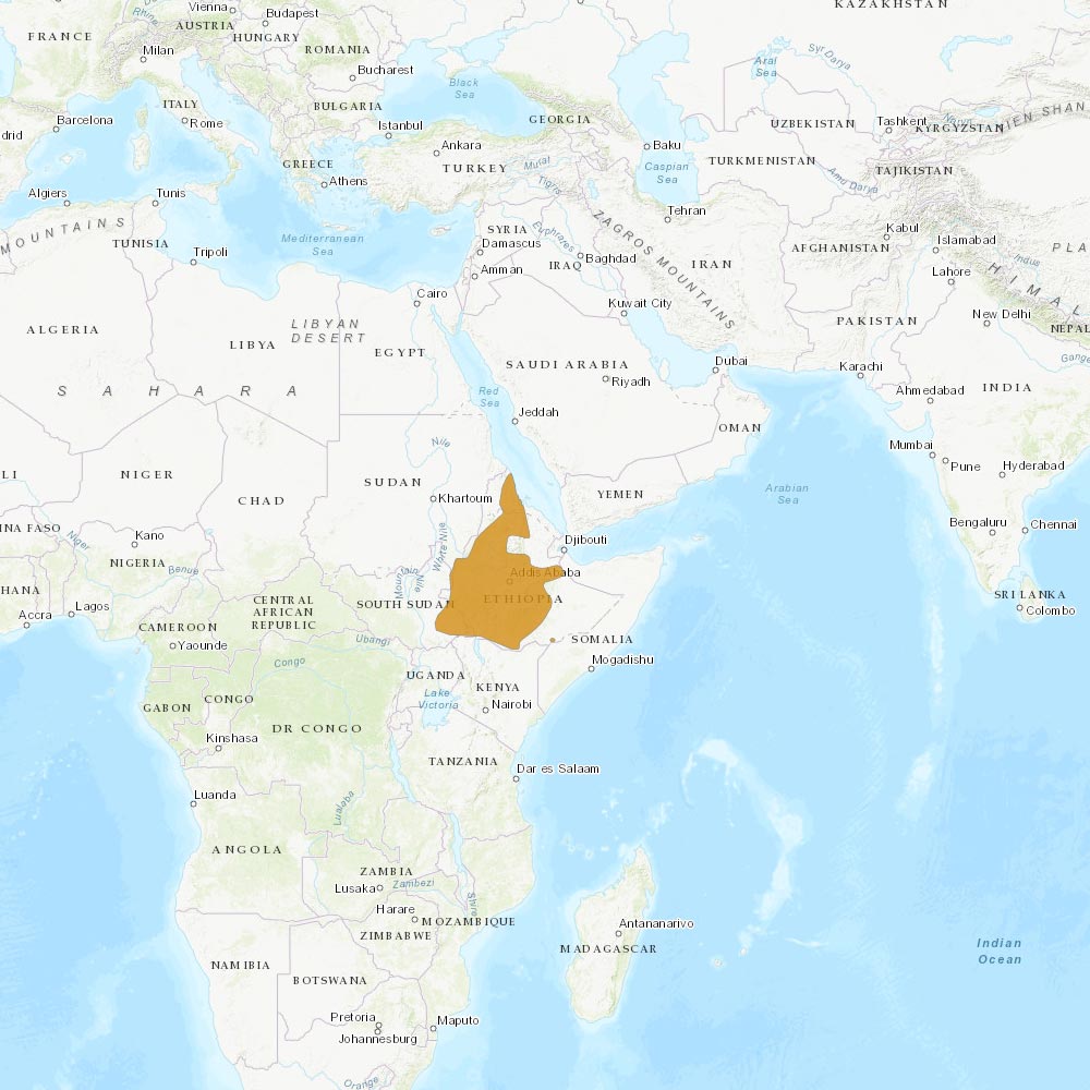 Répartition géographique des touracos à joues blanches / IUCN Red List