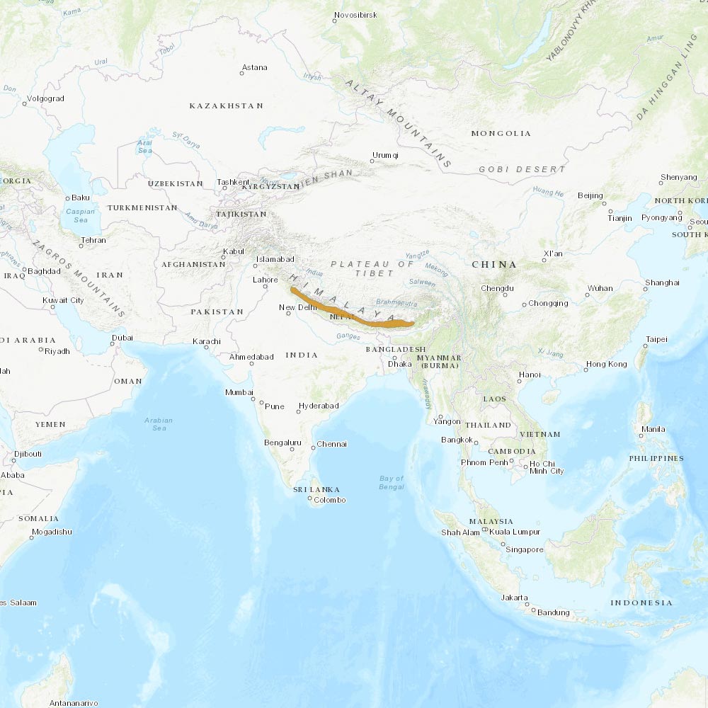 Répartition géographique des tragopans satyre / IUCN Red List