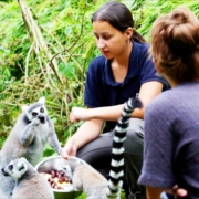 L'activité soigneur d'un soir du Zoo d'Asson - Charly Puech