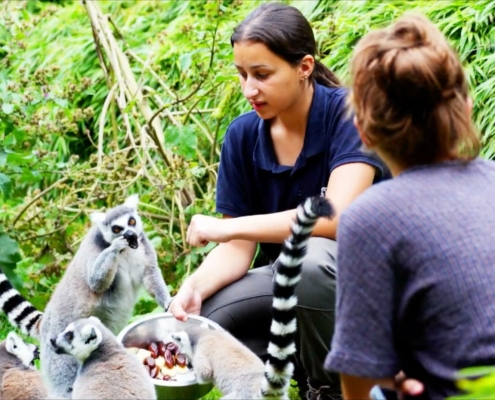 L'activité soigneur d'un soir du Zoo d'Asson - Charly Puech