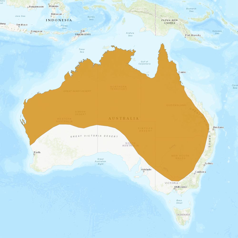 Répartition géographique des Colombes diamant / IUCN Red List