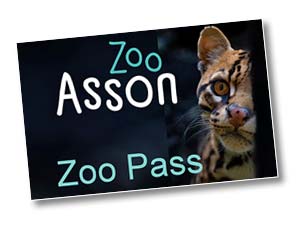 zoo pass abonnement au zoo d'Asson