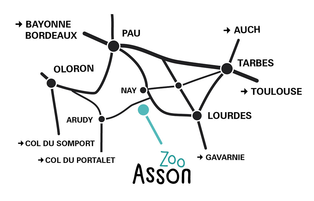 Asson zoo situation