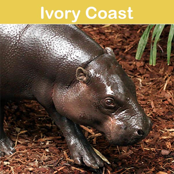 Conservation at Asson Zoo -Ivory Coast