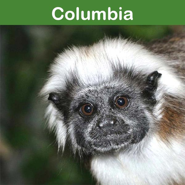 Conservation at Asson Zoo - Columbia Conservation at Asson Zoo - Columbia