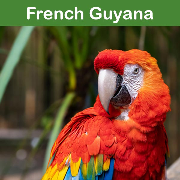 Conservation at Asson Zoo - French Guyana