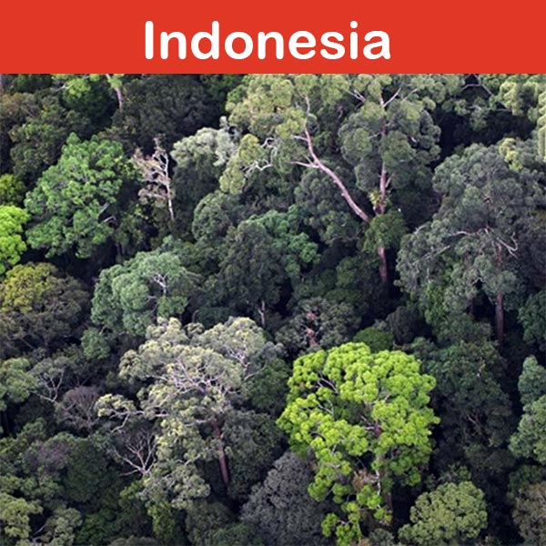 Conservation at Asson Zoo - Indonesia