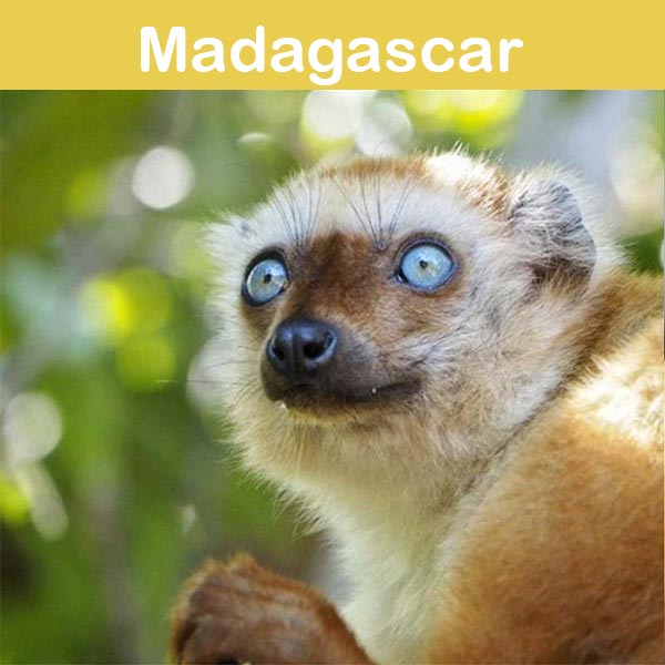 Conservation at Asson Zoo - Madagascar