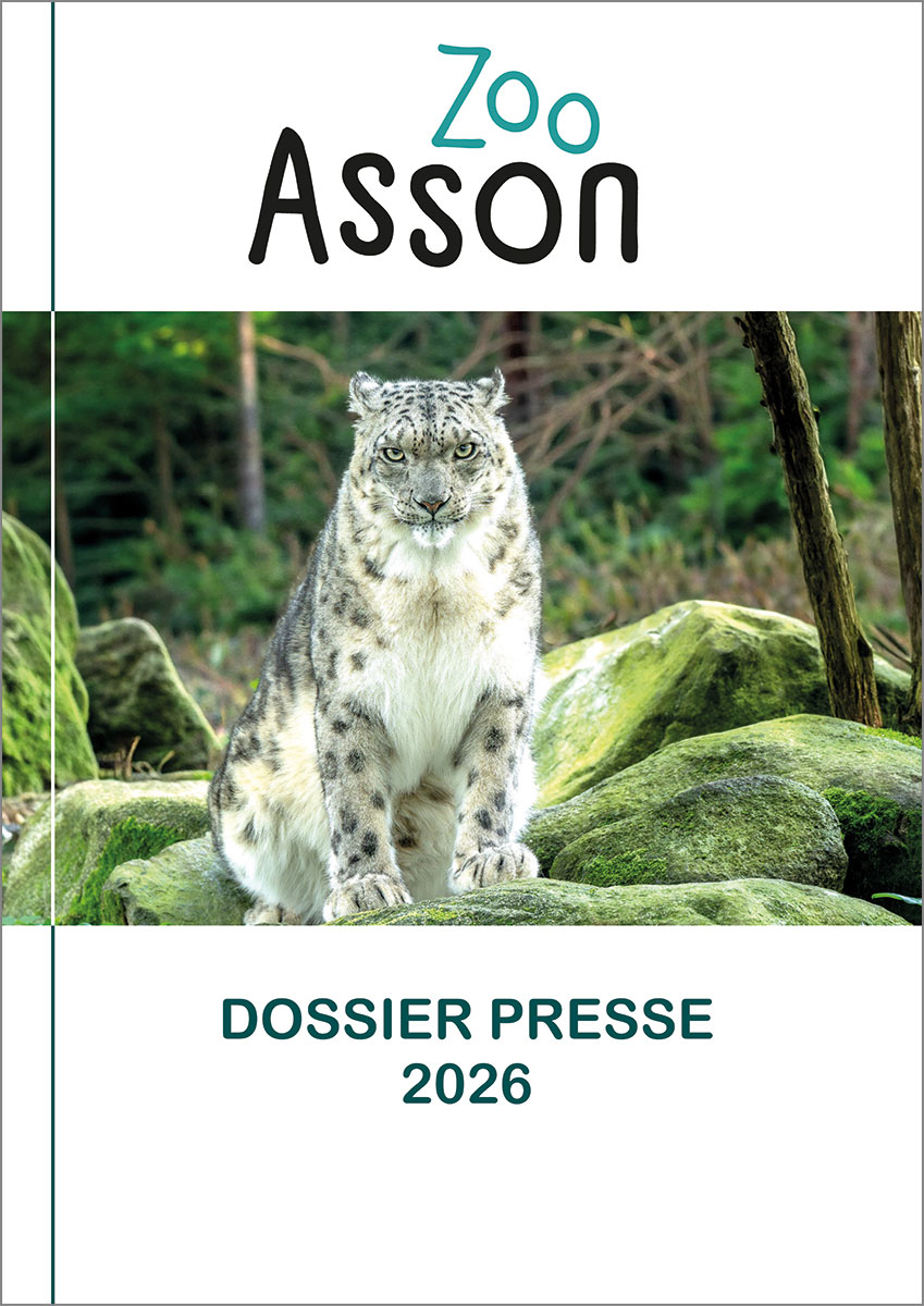 Dossier de presse du zoo d'Asson 2026